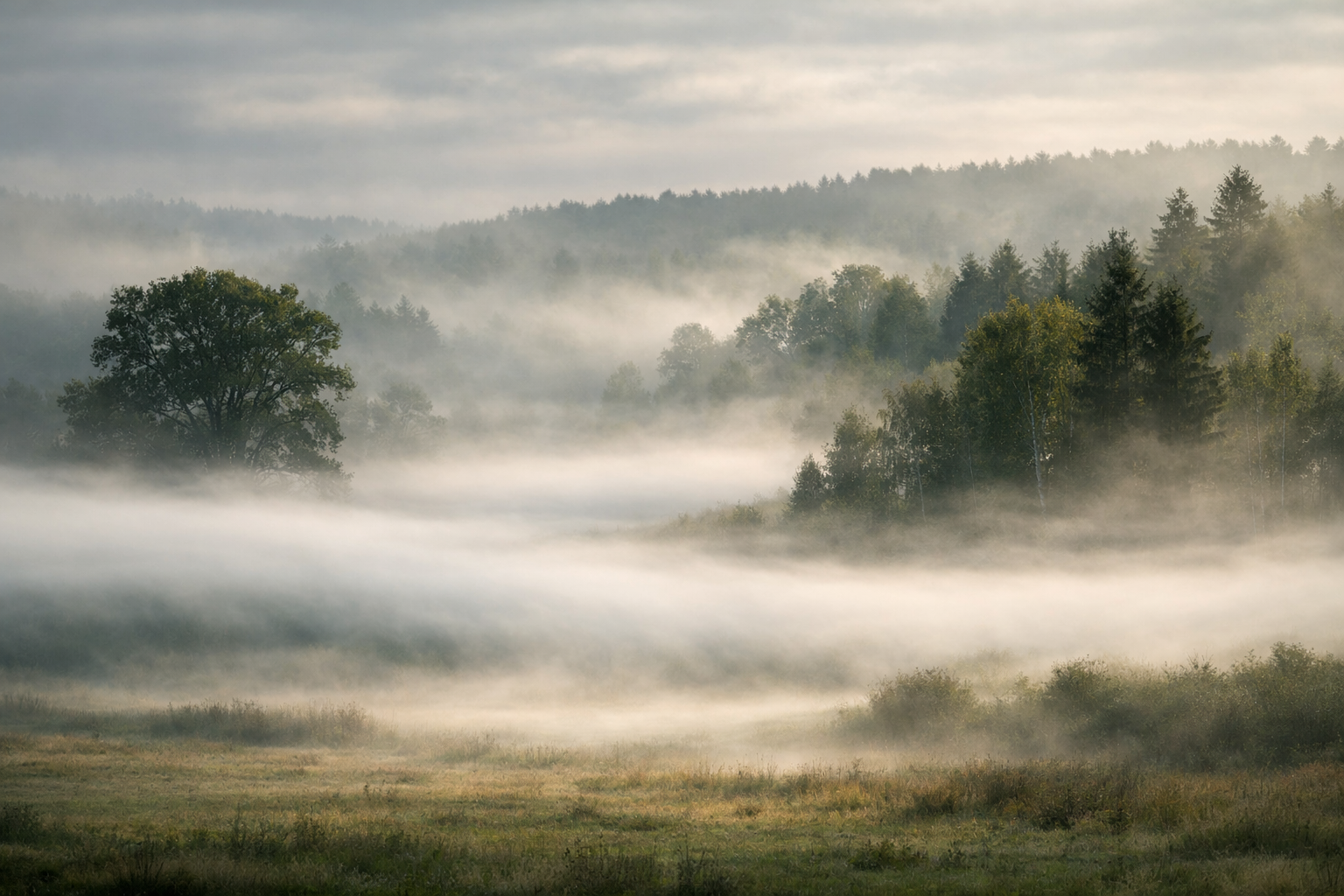 Wie viel wiegt Nebel?
