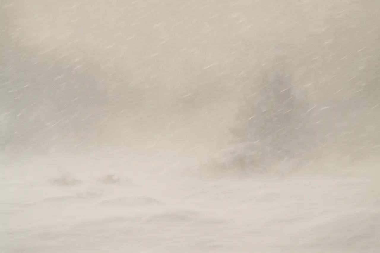 How Much Does a Blizzard Weigh?